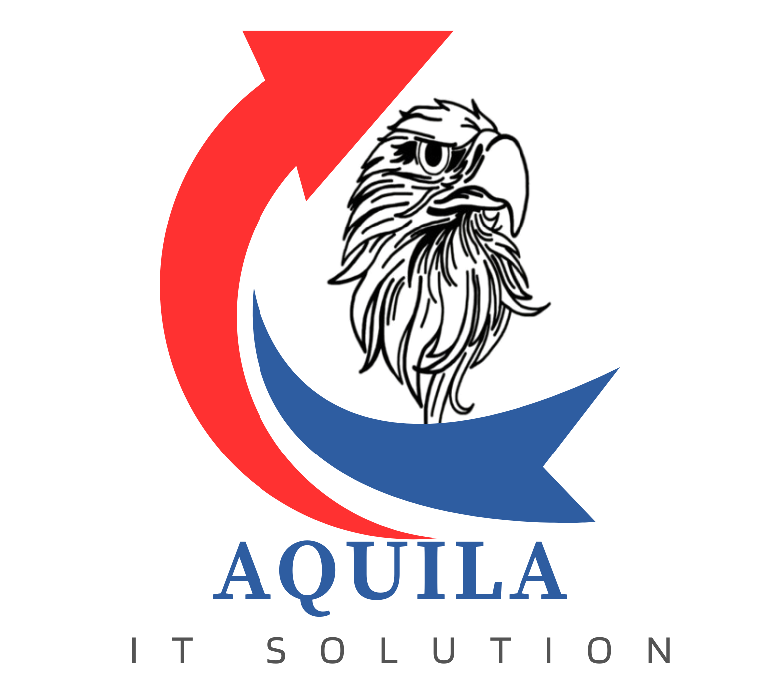 Aquila IT Solution : WEB ,MOBILE,IT SUPPORT